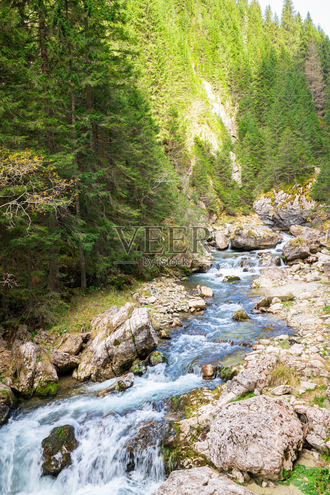 罗马尼亚布切吉山岩石林地中的风景秀丽的山间溪流照片摄影图片