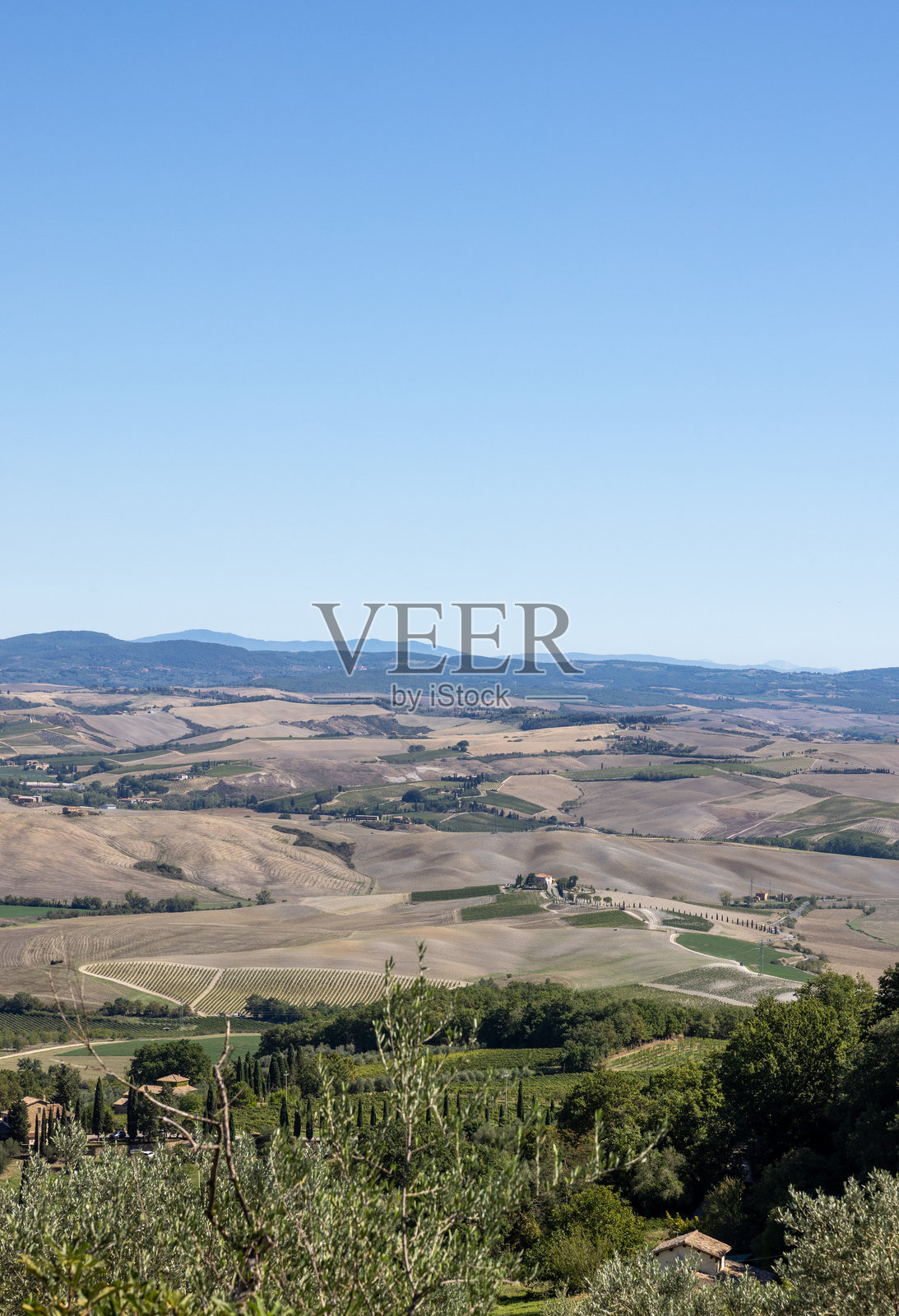 托斯卡纳皮恩扎附近的乡村风光。照片摄影图片