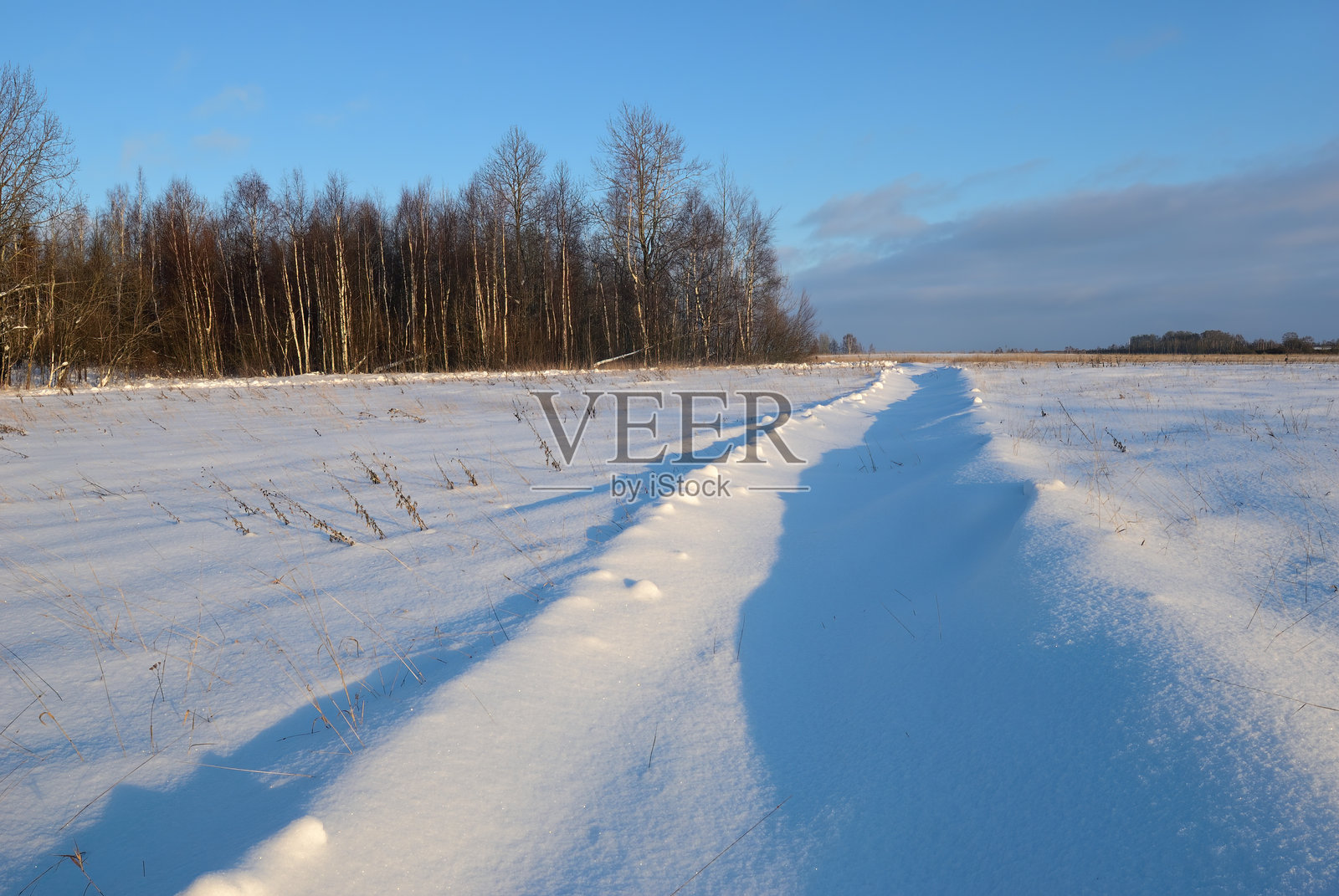 俄罗斯冬季景观照片摄影图片