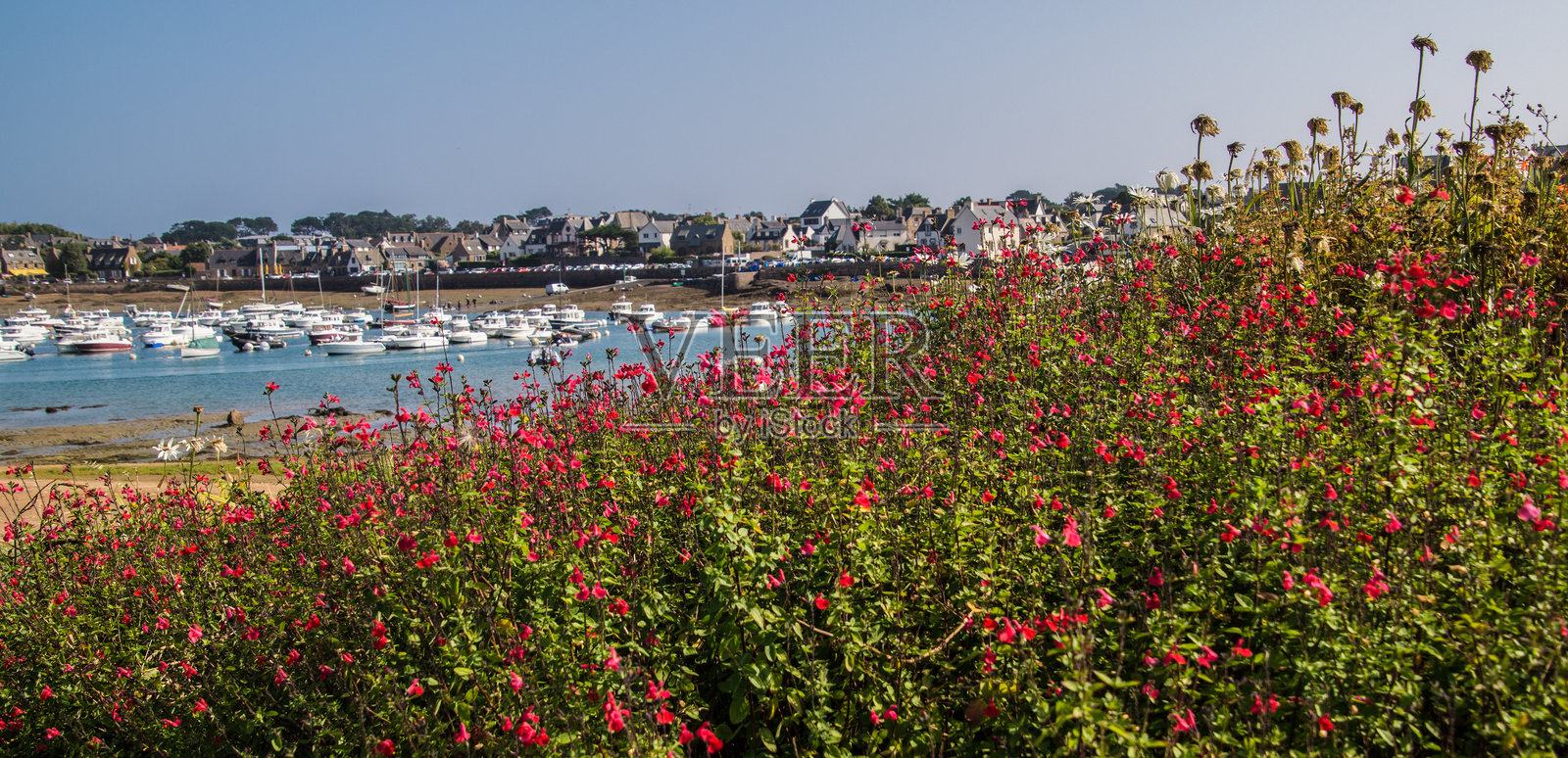 粉红花岗岩海岸，布列塔尼照片摄影图片