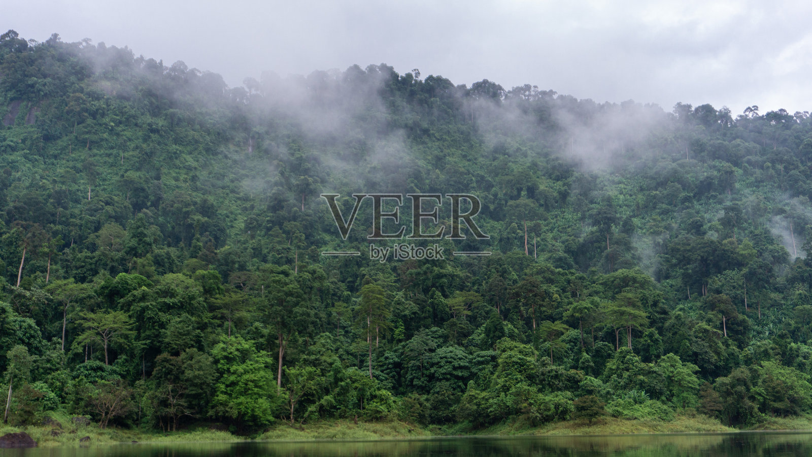 薄雾笼罩的热带雨林斜坡，下方是平静的水面照片摄影图片
