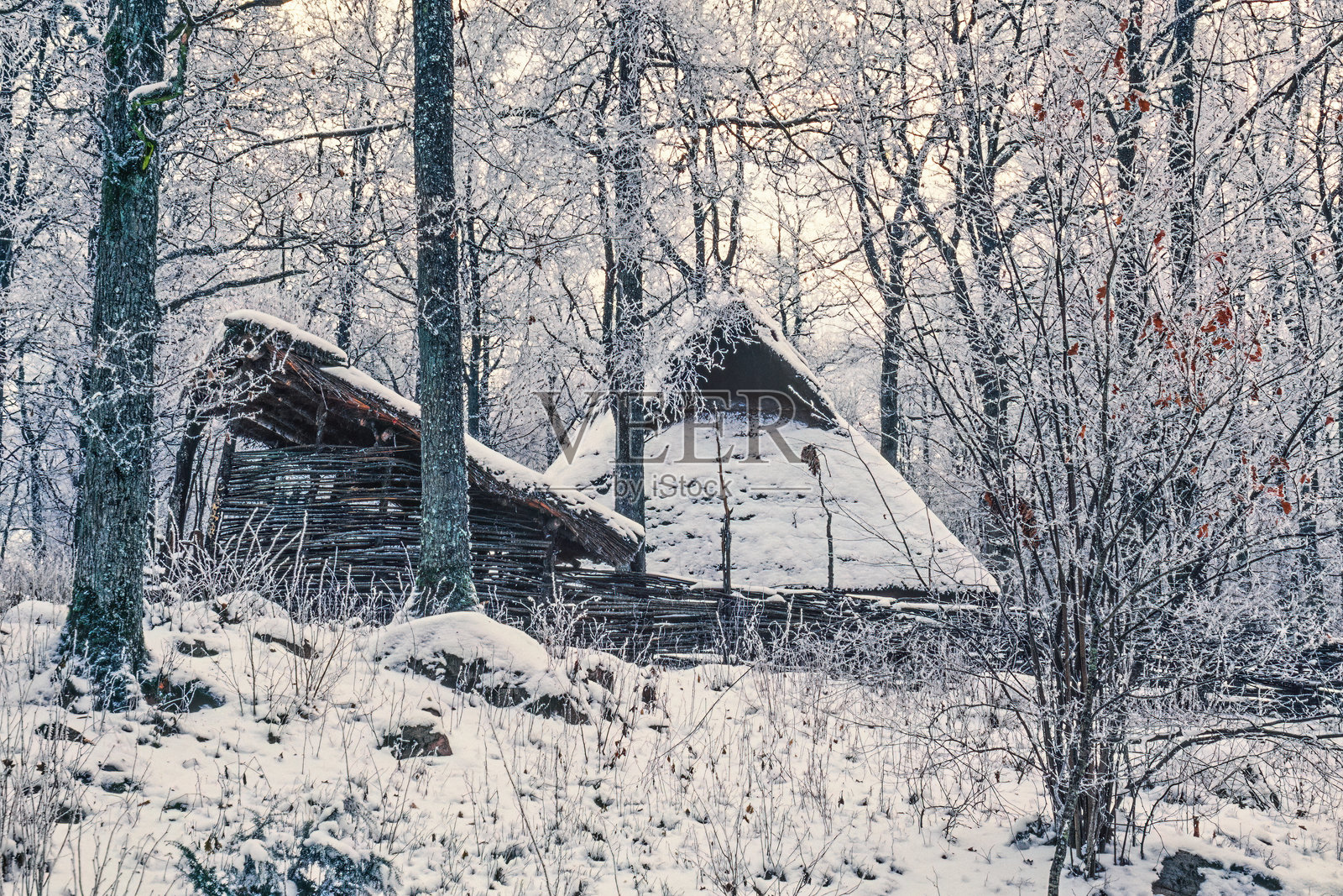冬季森林中的木屋，覆盖着白雪和霜冻照片摄影图片