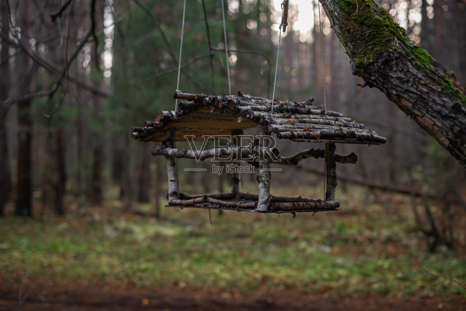 森林里树上的手工木制鸟屋，采用天然木材和树枝制作，质朴粗犷。照片摄影图片