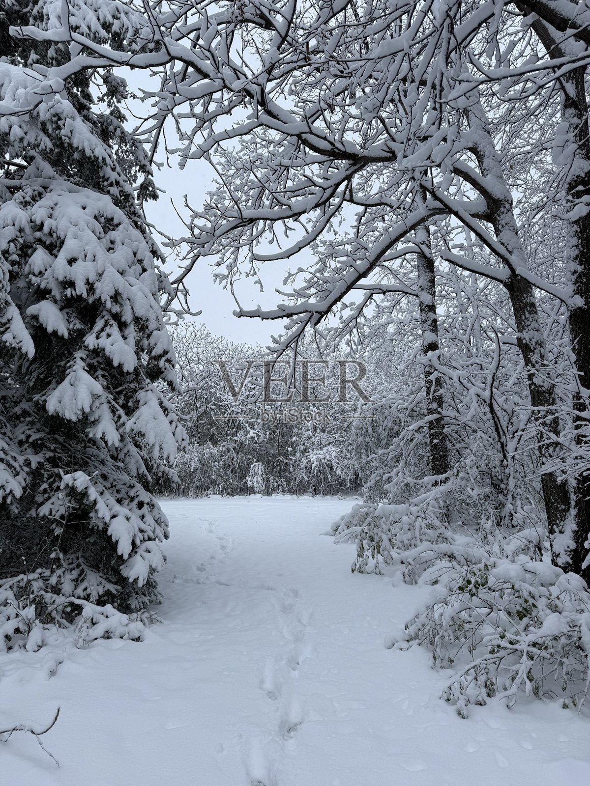 冬季风暴照片摄影图片