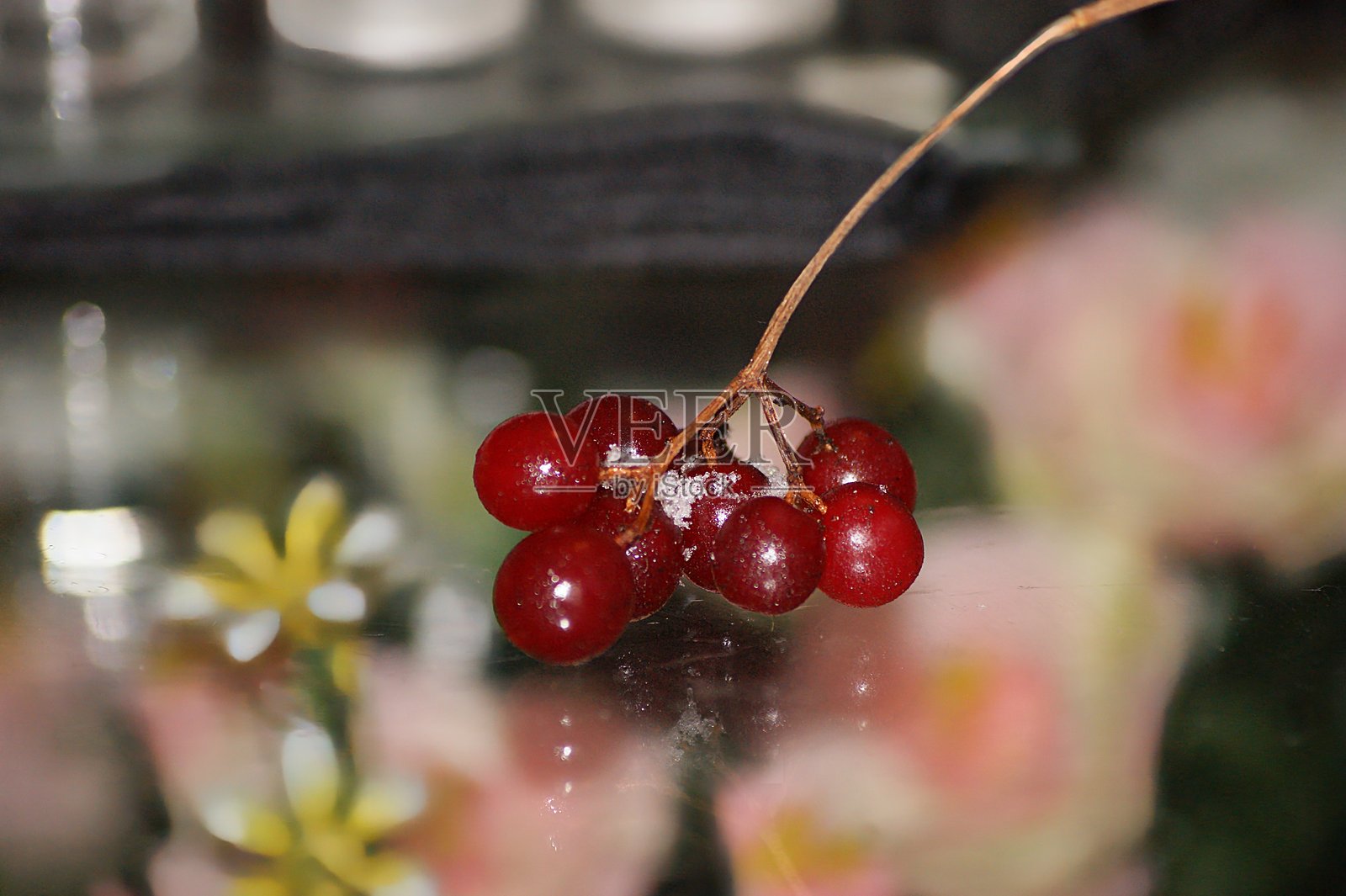 前景是玻璃桌上的红山楂果，上面覆盖着雪。照片摄影图片