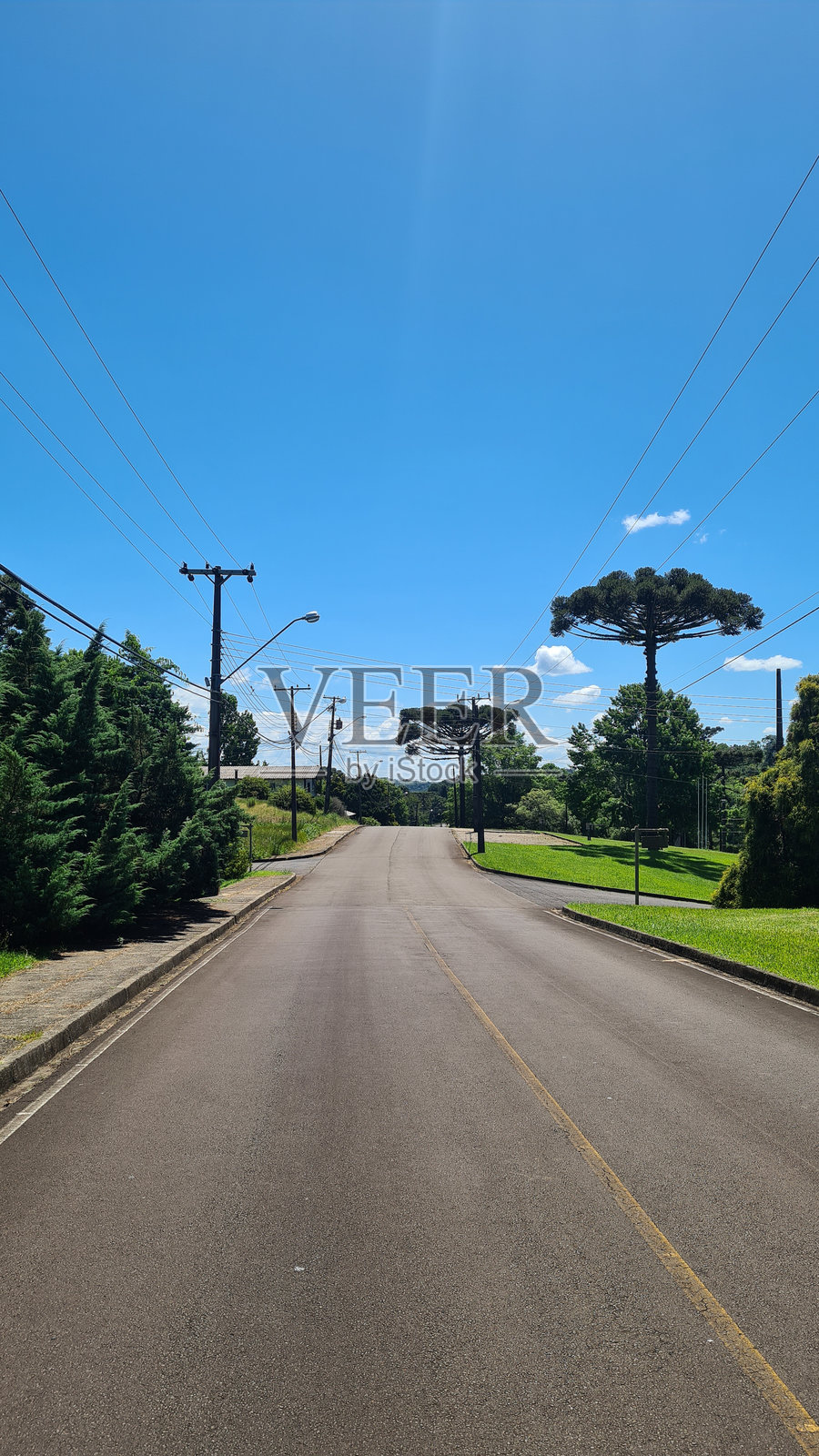 植物园照片摄影图片