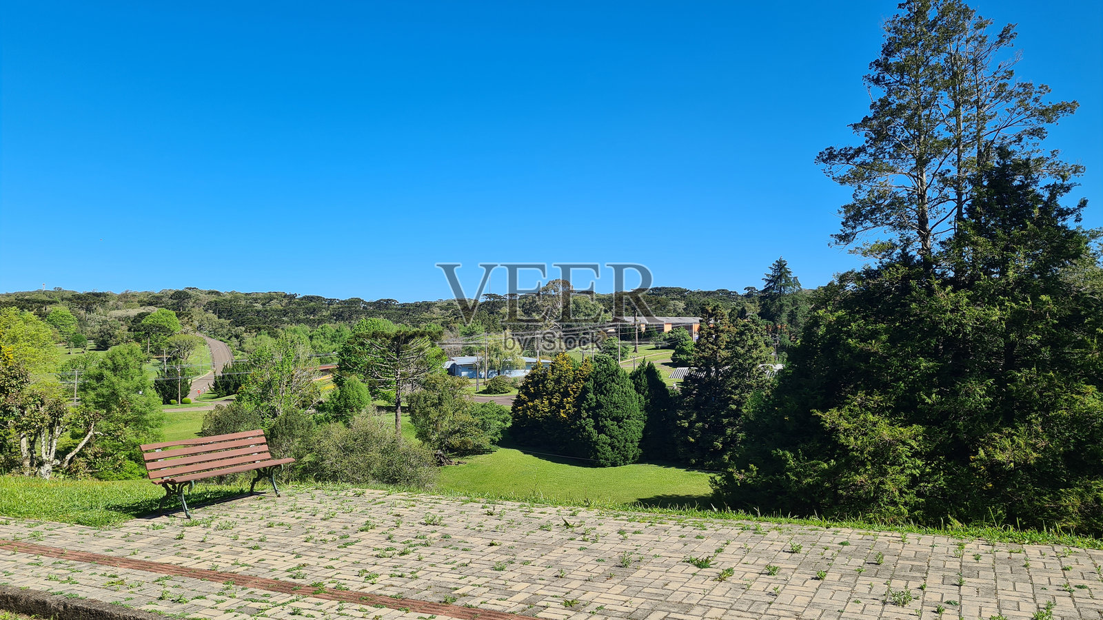 植物园照片摄影图片