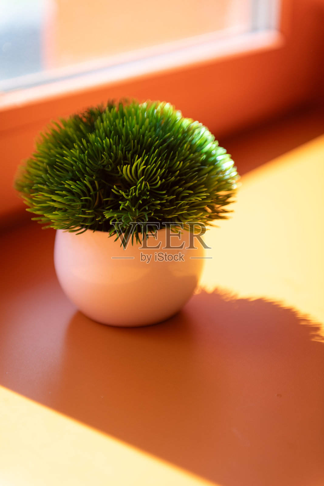 白色陶瓷盆里小巧的针叶状人造植物，在阳光照射的窗台上投下清晰的影子。照片摄影图片