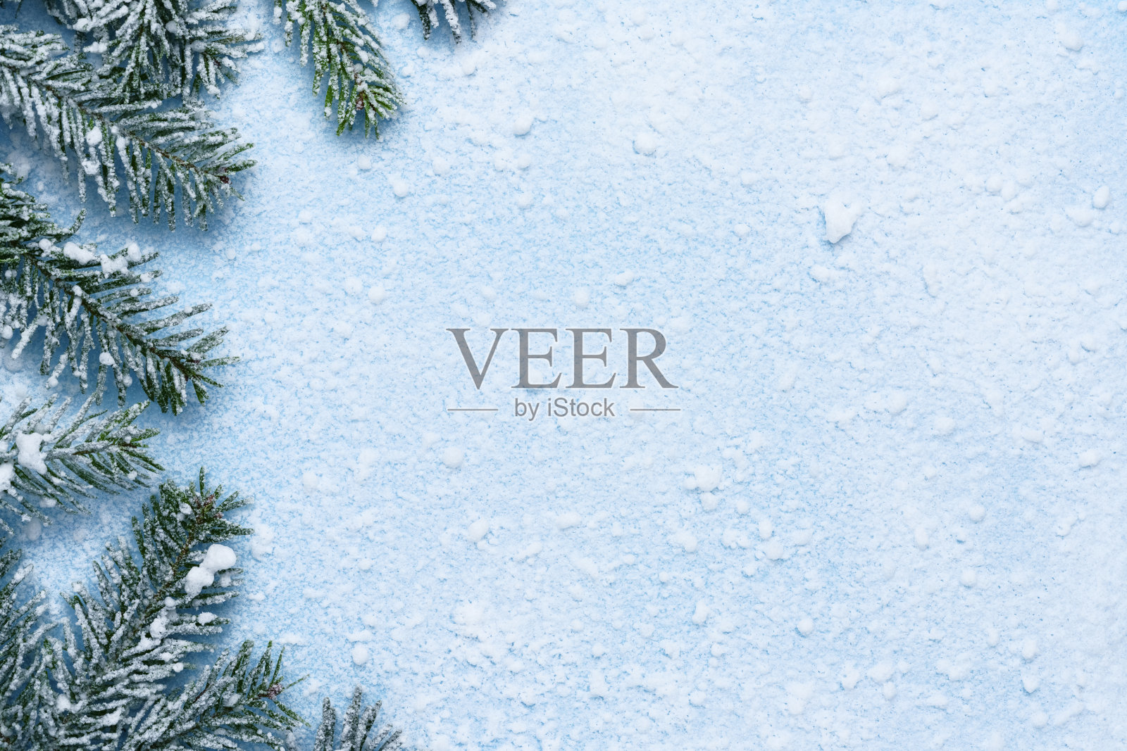 覆盖着霜的雪和冷杉树枝的冬季背景照片摄影图片