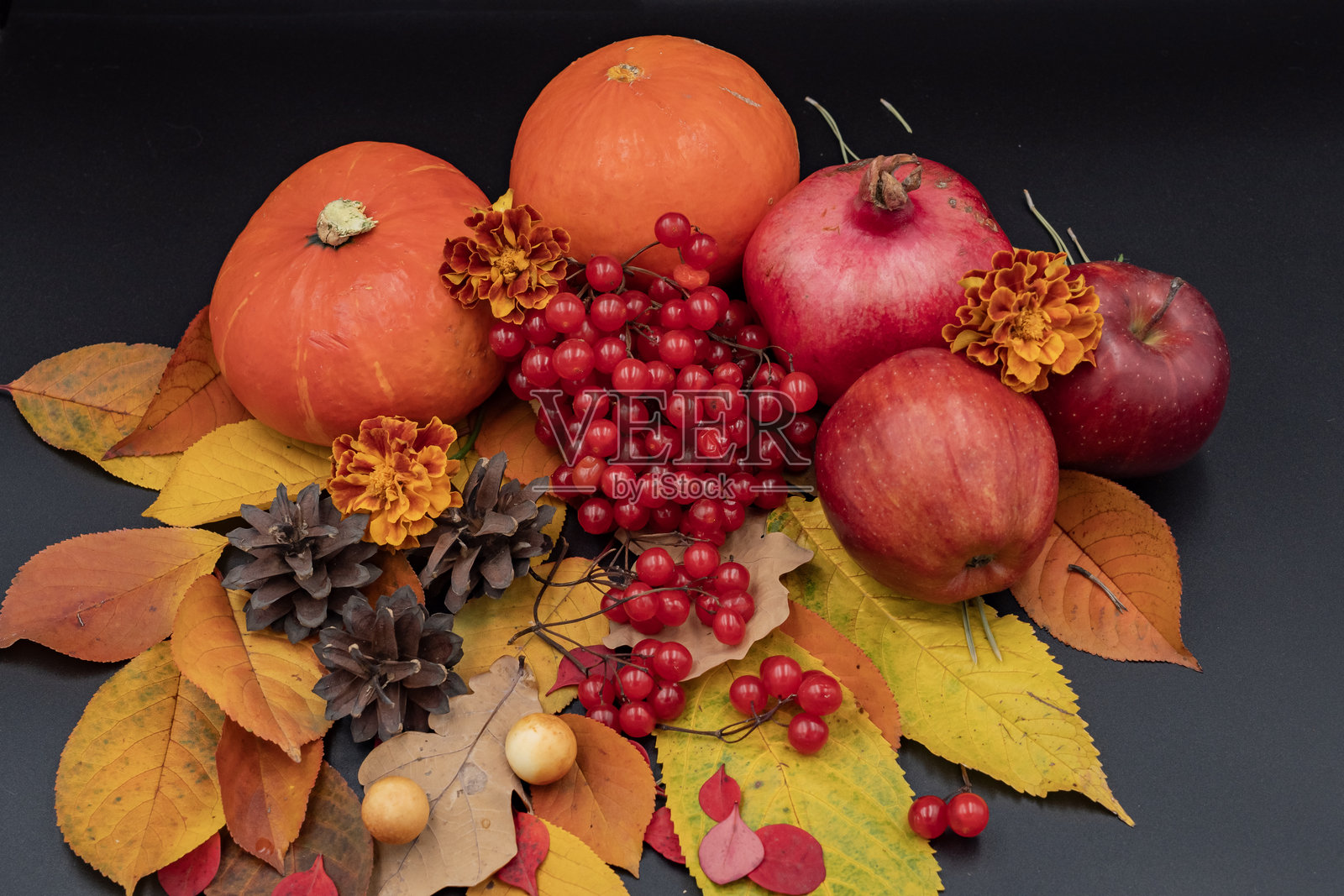 现代秋季静物，包含南瓜、苹果、石榴和荚蒾浆果照片摄影图片
