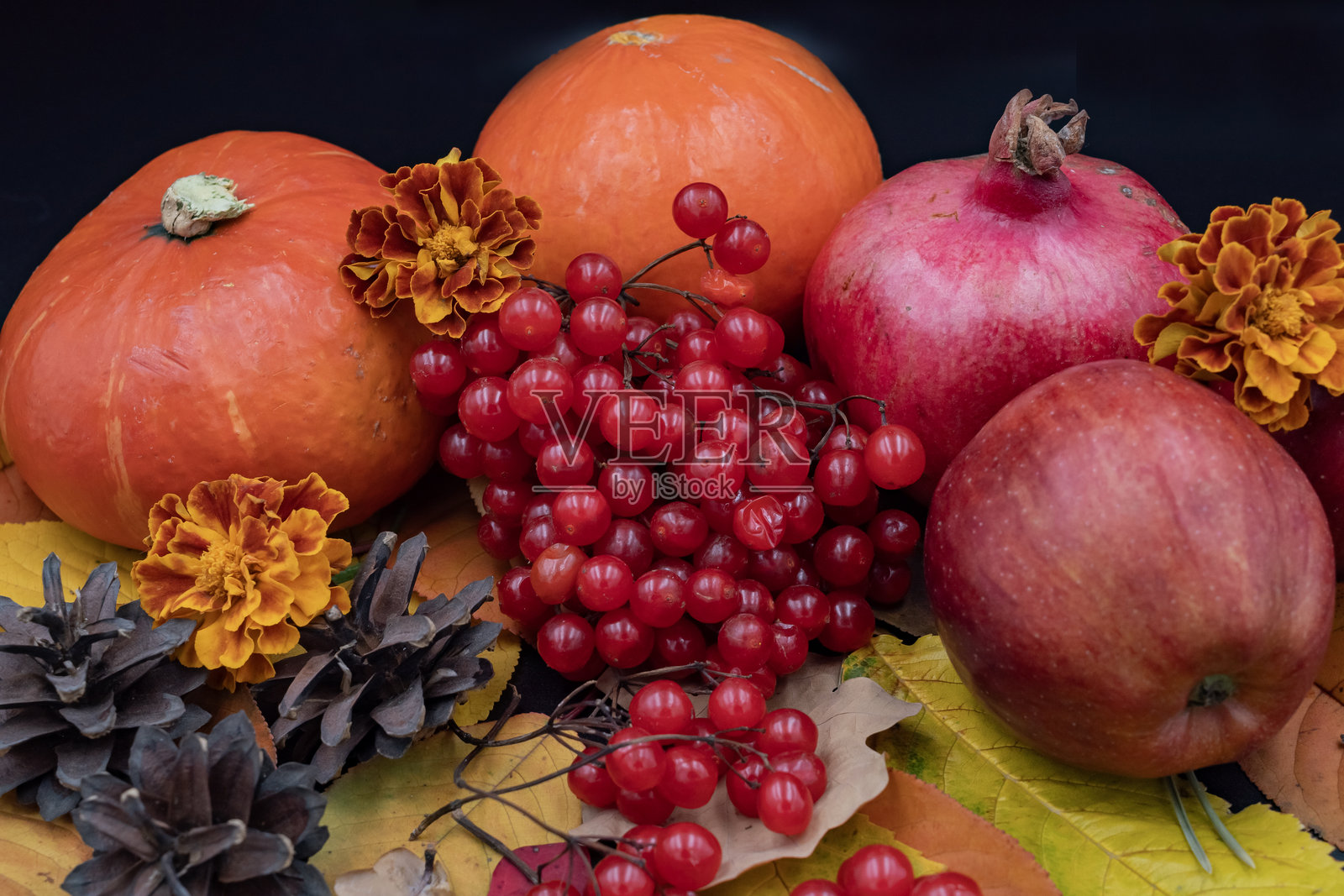 现代秋季静物，有南瓜、苹果、石榴和雪球浆果照片摄影图片