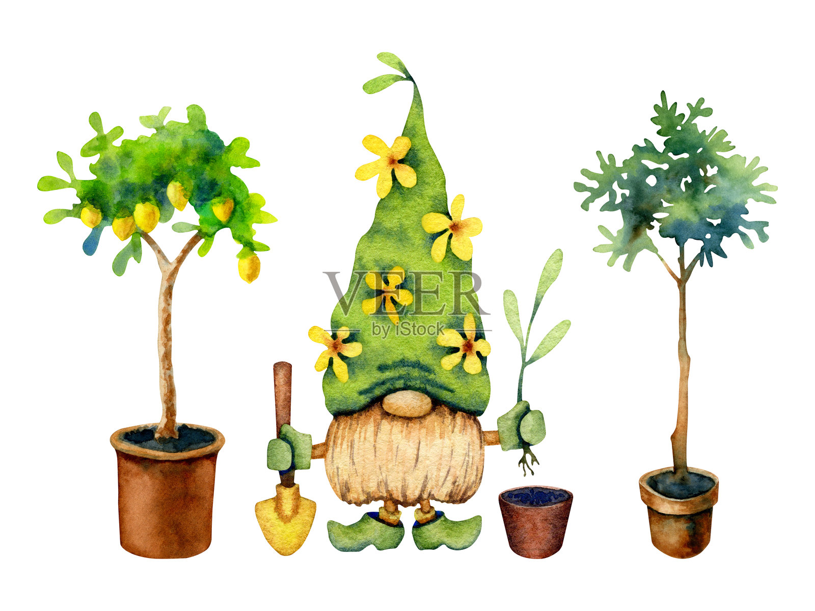 水彩插画，描绘了一个园艺小矮人，手持铁锹，旁边有花盆、橄榄树和柠檬树，背景为白色。插画图片素材