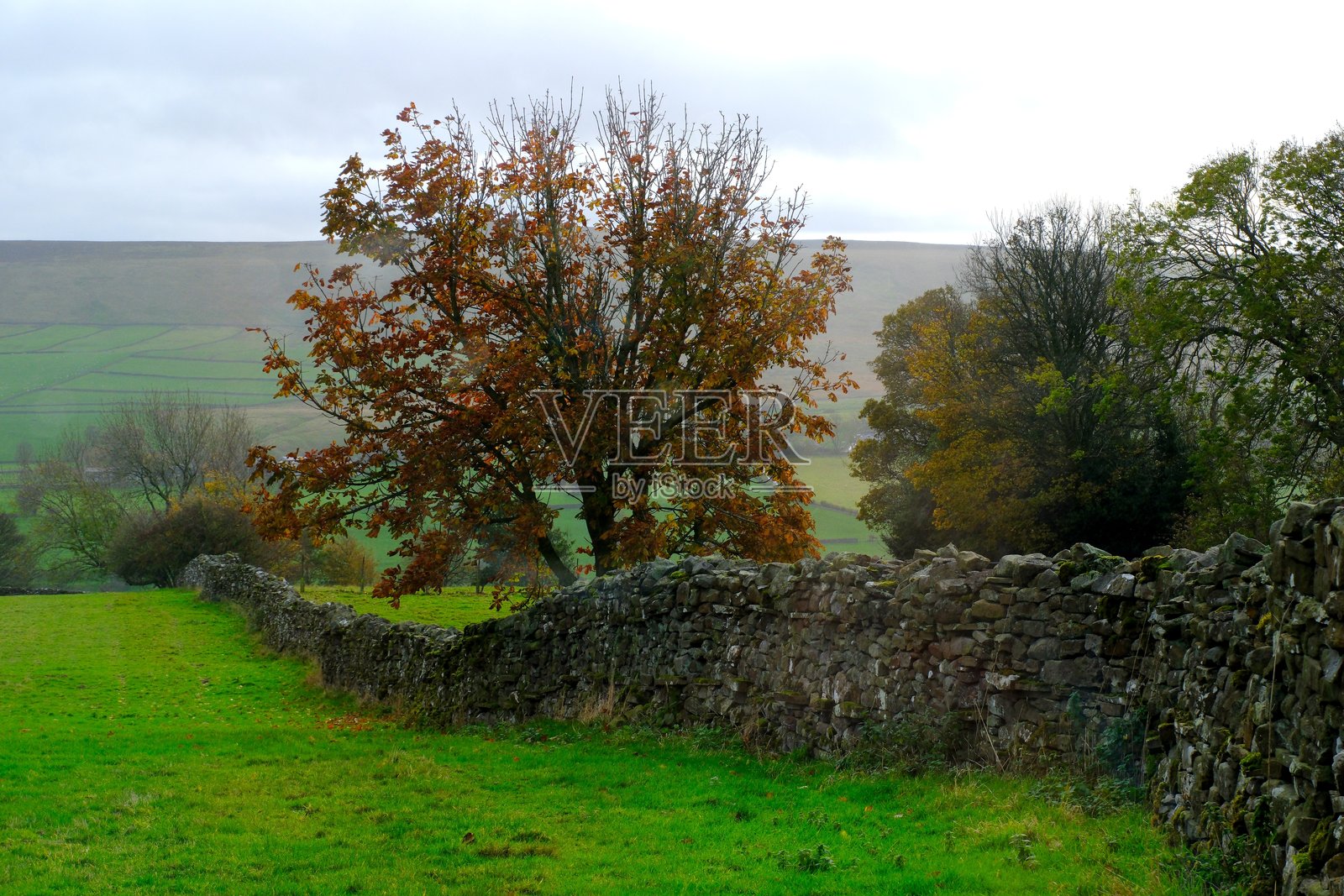 约克郡谷地干石墙照片摄影图片