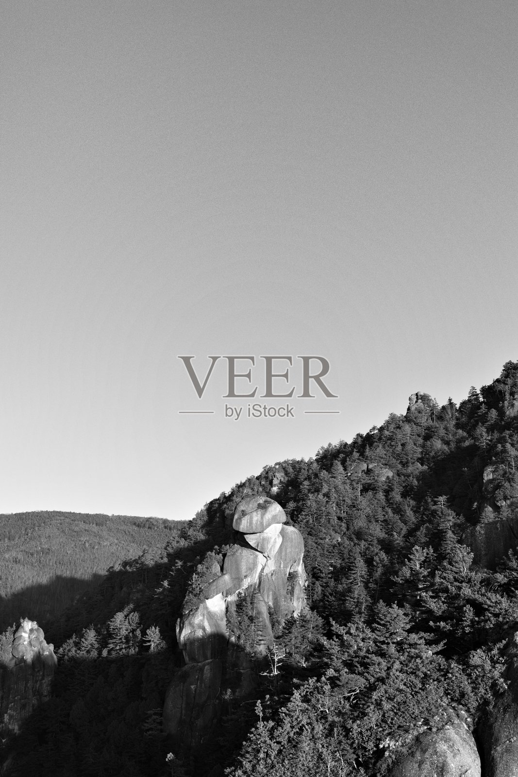 森林中的巨石照片摄影图片