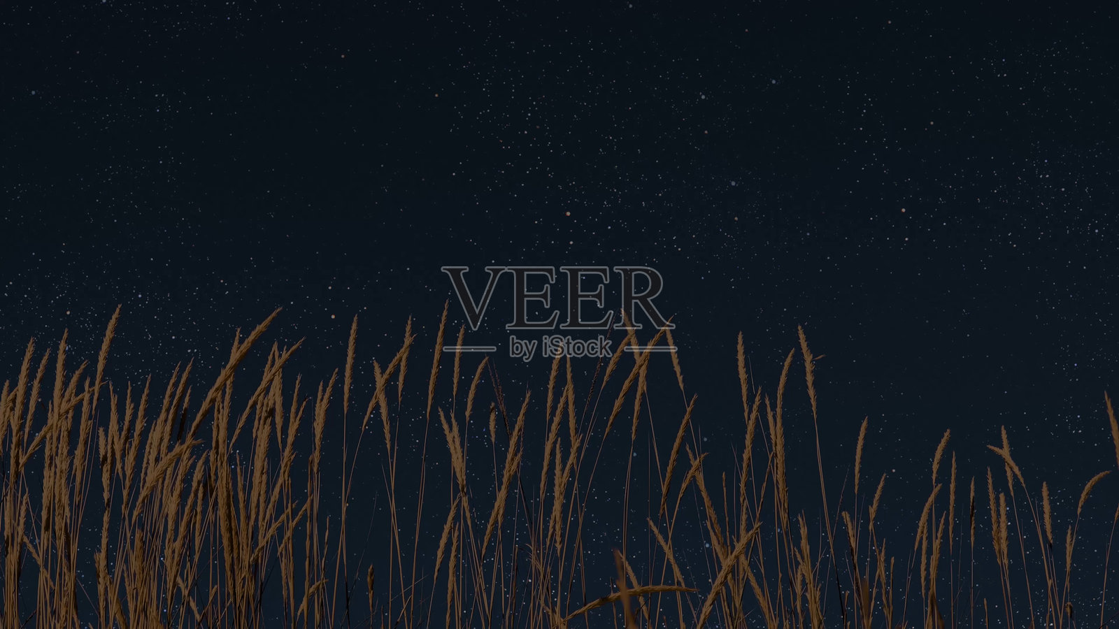 夜空中的星星，圣诞全景照片摄影图片