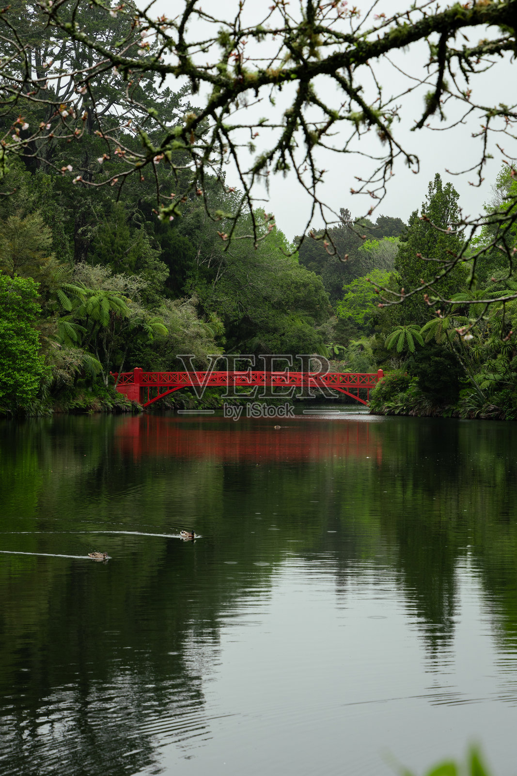 红色桥梁照片摄影图片