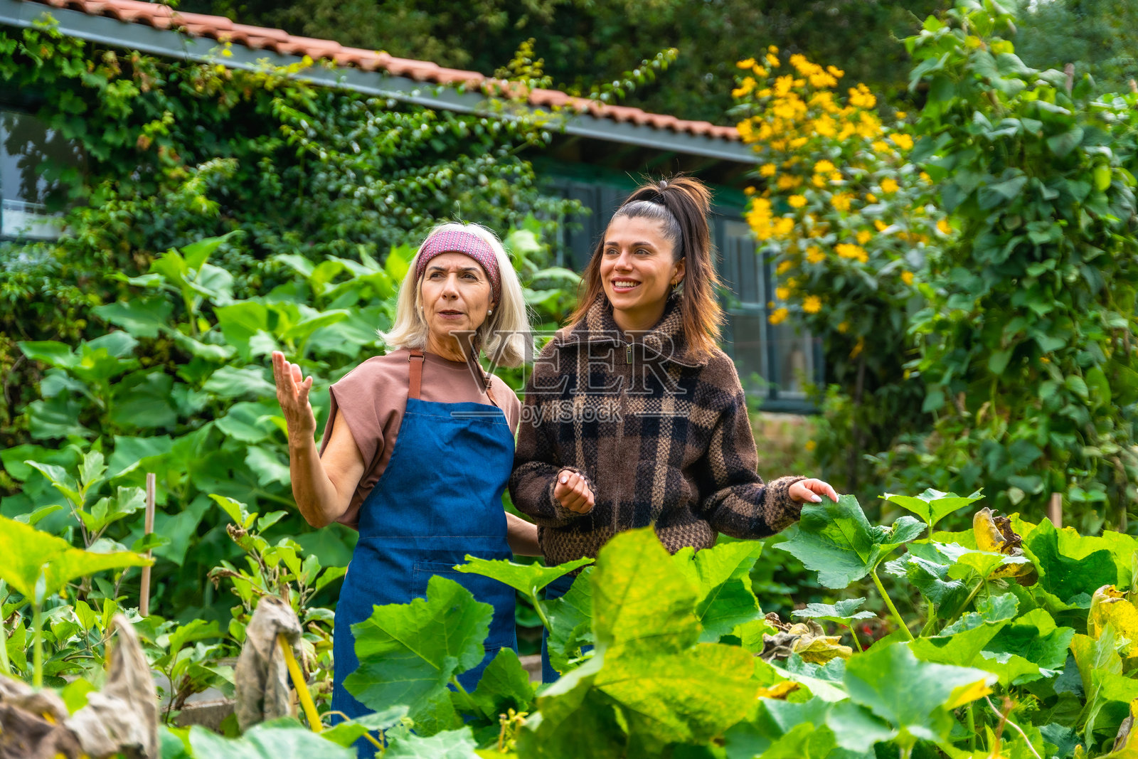 女性在花园里交流植物知识，享受着美好的时光照片摄影图片