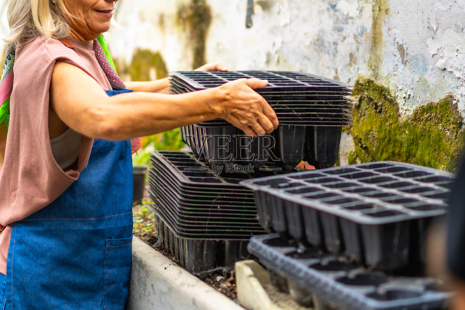 一位年长的女士在温室里园艺，堆叠着塑料育苗盘照片摄影图片