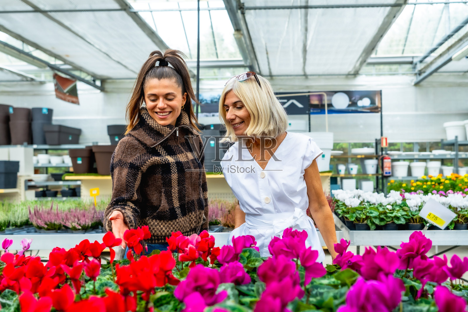 女性在温室花园中心购买鲜花照片摄影图片