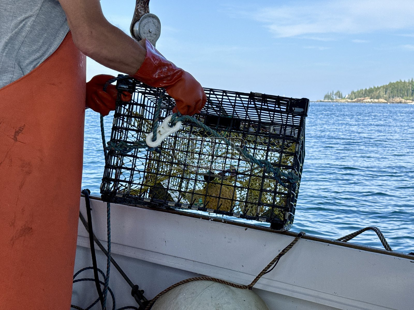 缅因州龙虾捕捞者照片摄影图片