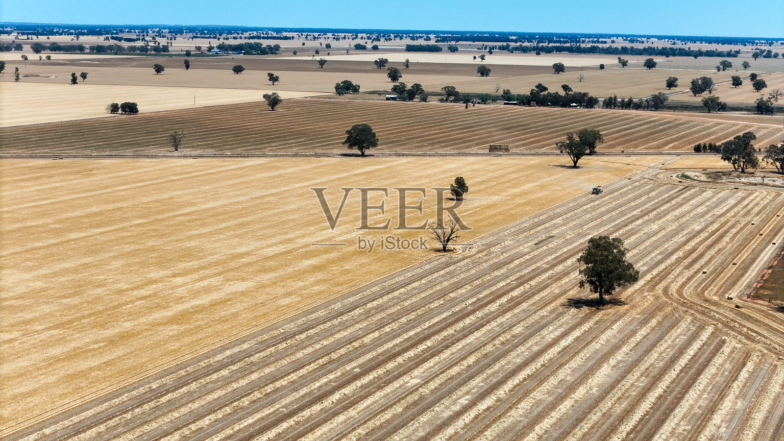 新南威尔士州乡村土地上打包干草作业的航拍图照片摄影图片