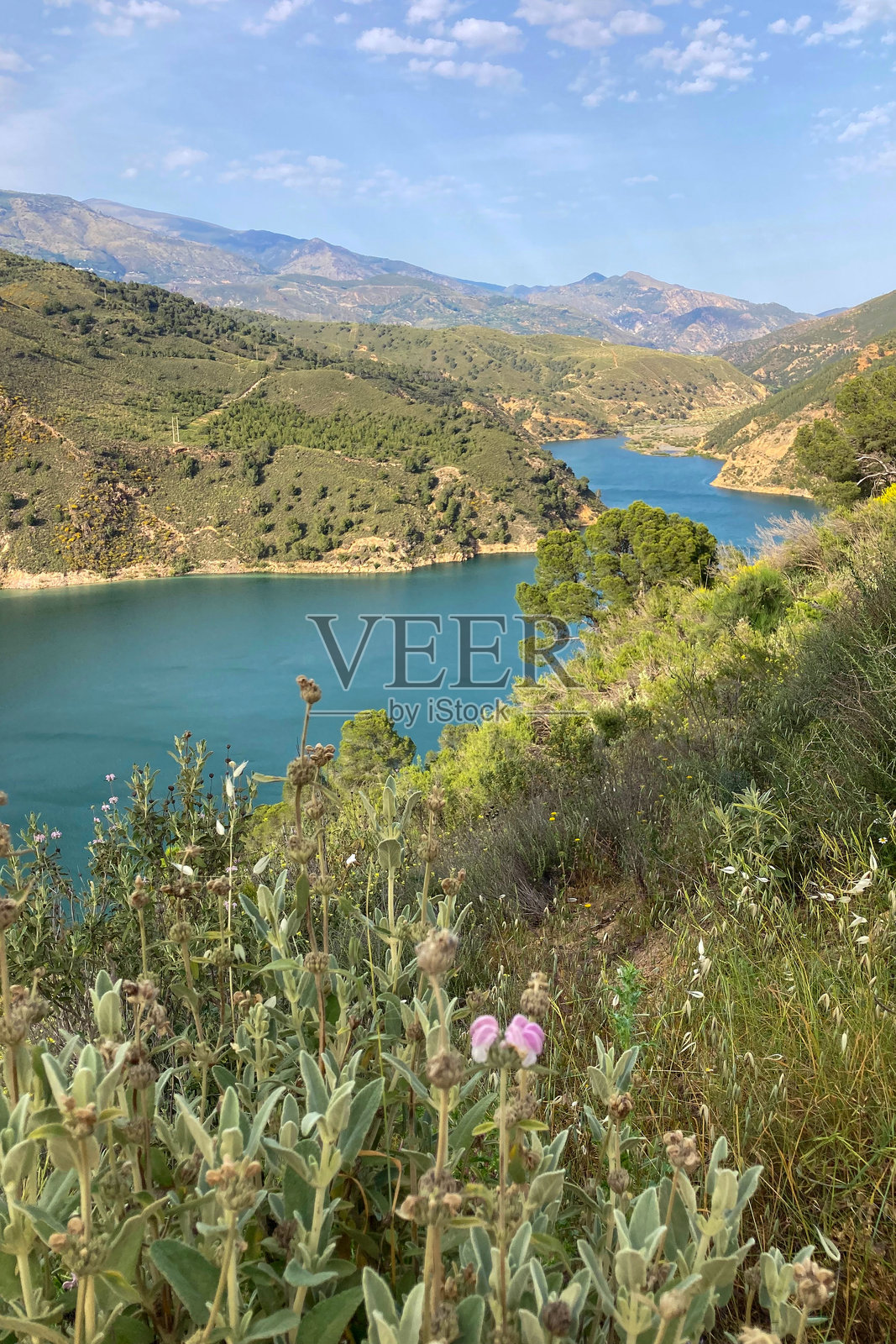 春季通往穆拉森峰的小径照片摄影图片