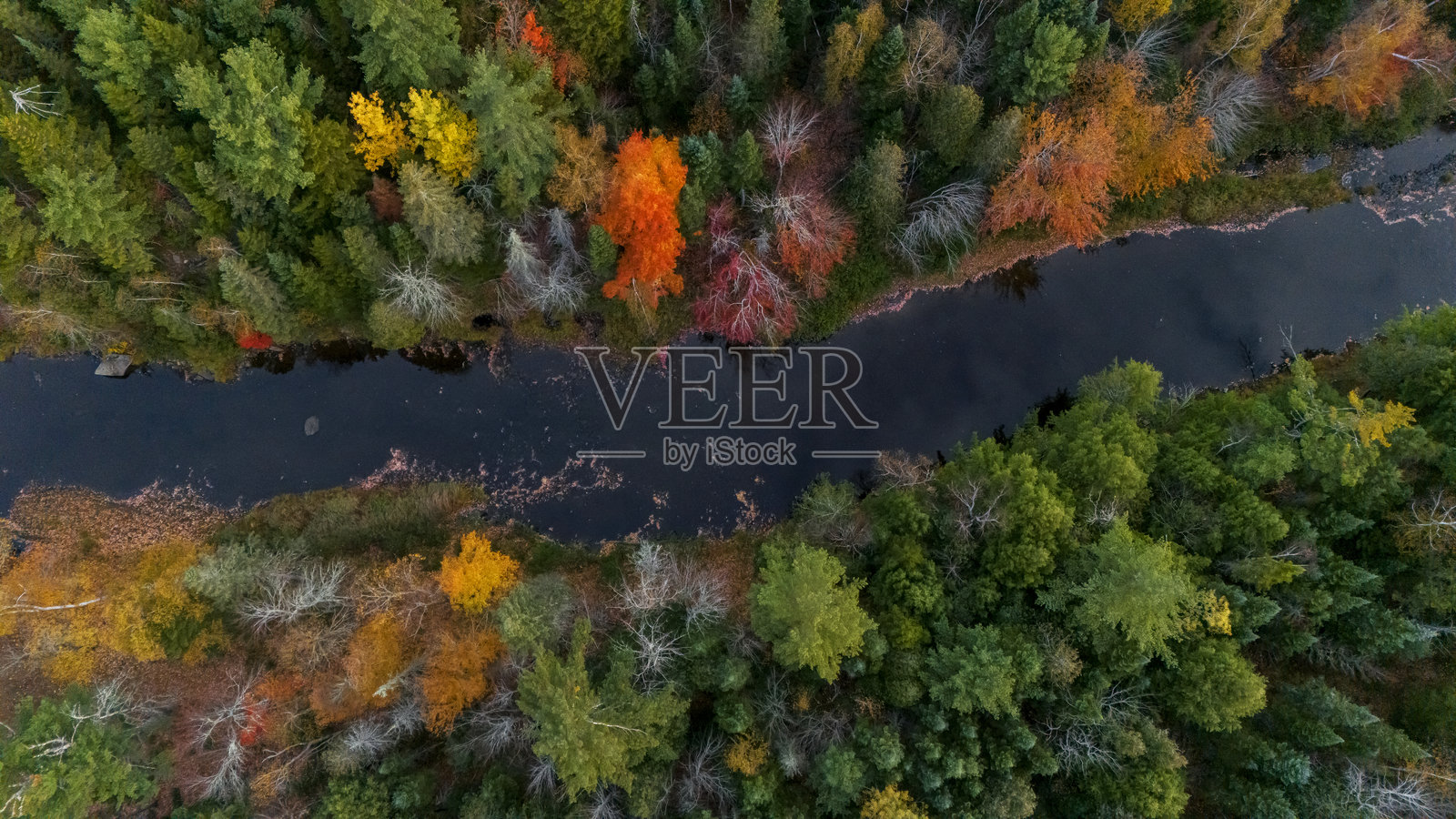 秋天照片摄影图片