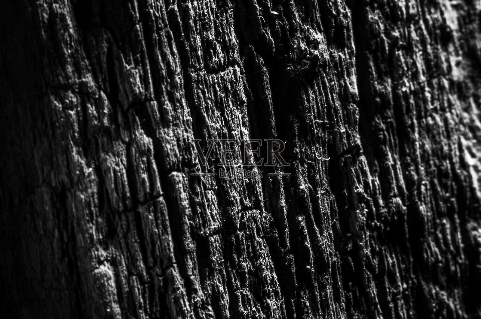 微距摄影强调木材的每一道裂缝和纹理照片摄影图片