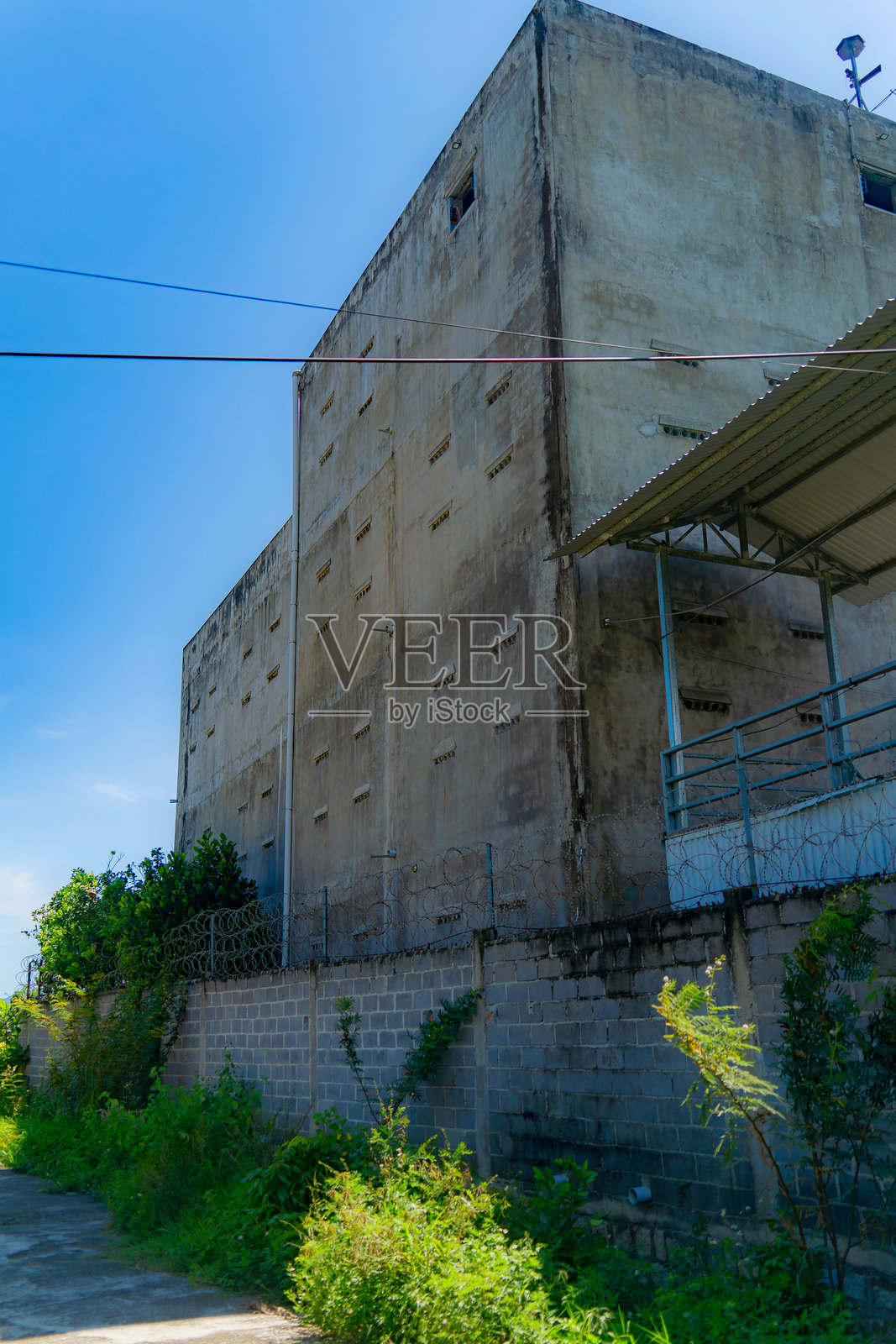 燕子专用的农业建筑照片摄影图片