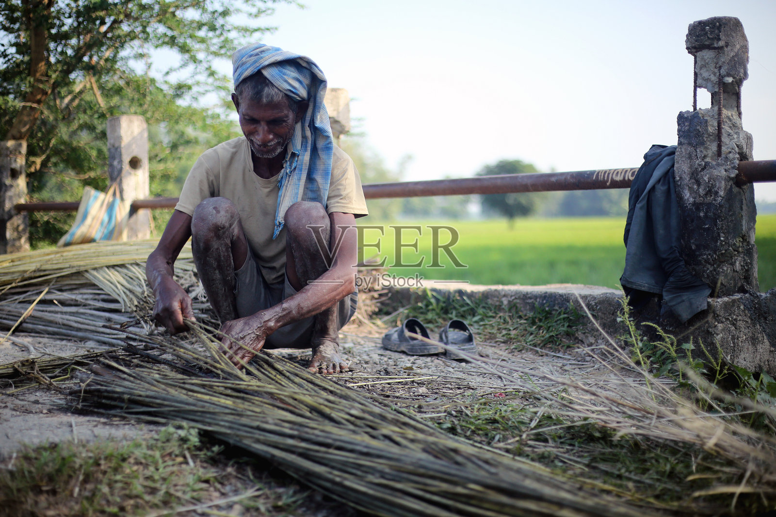 尼泊尔伊纳鲁瓦路边的农民正在加工黄麻原纤维照片摄影图片