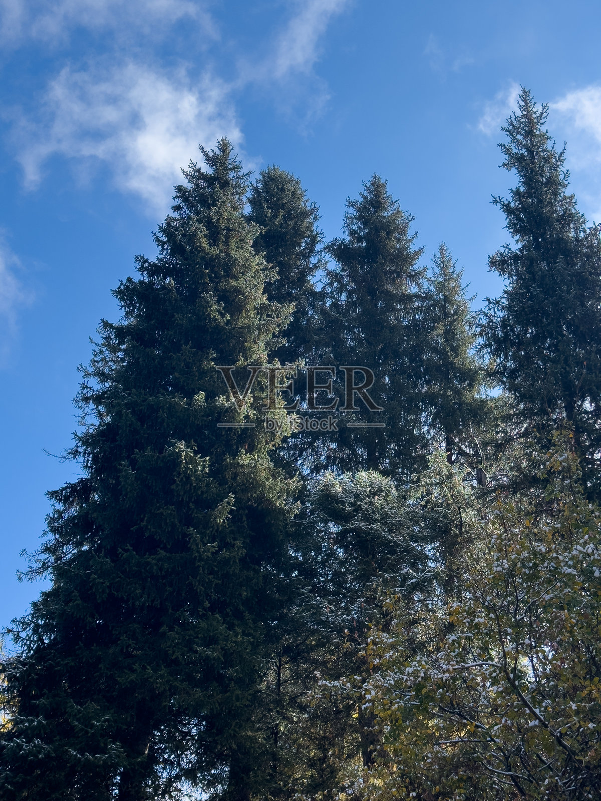 快乐的家庭在山中照片摄影图片