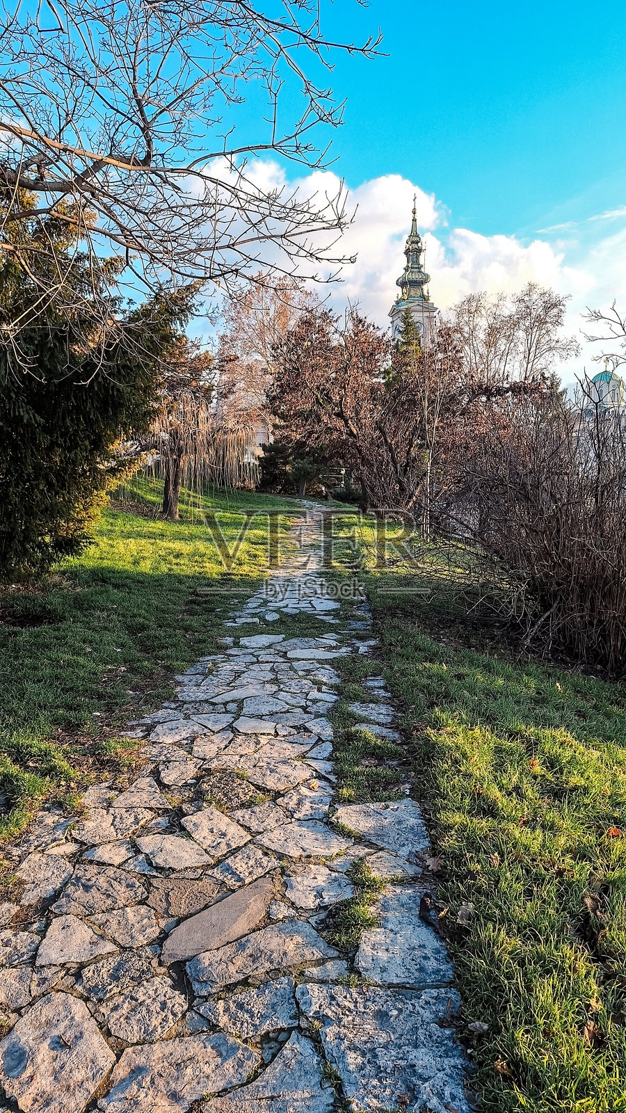 阳光明媚的冬日，一条石板路穿过宁静的公园，路旁是光秃秃的树木和翠绿的草地。照片摄影图片