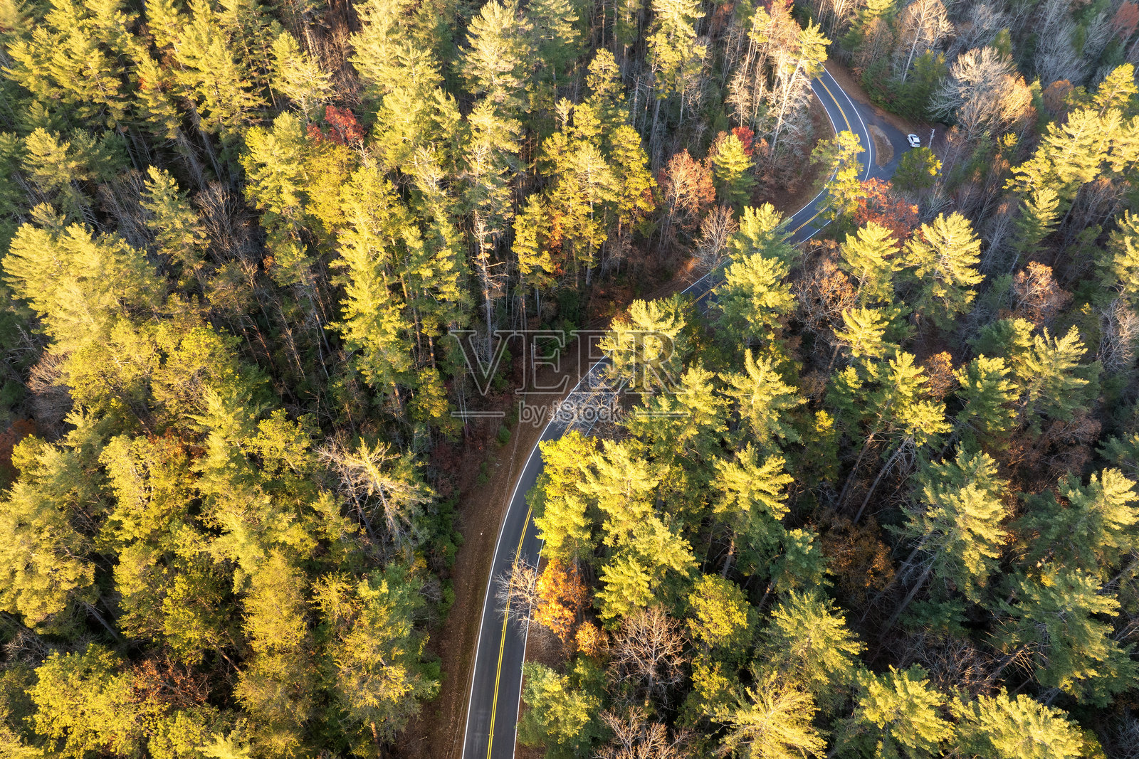北卡罗来纳州山区的生动秋景。秋天的色彩延伸到宁静的山间公路两旁的坡地上。照片摄影图片