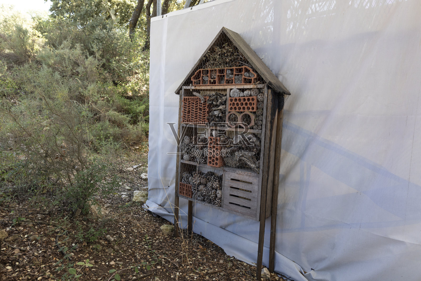 昆虫旅馆，人造昆虫庇护所照片摄影图片