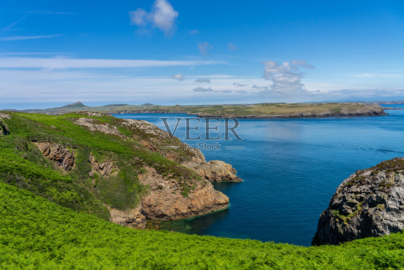 拉姆齐岛，威尔士海岸照片摄影图片