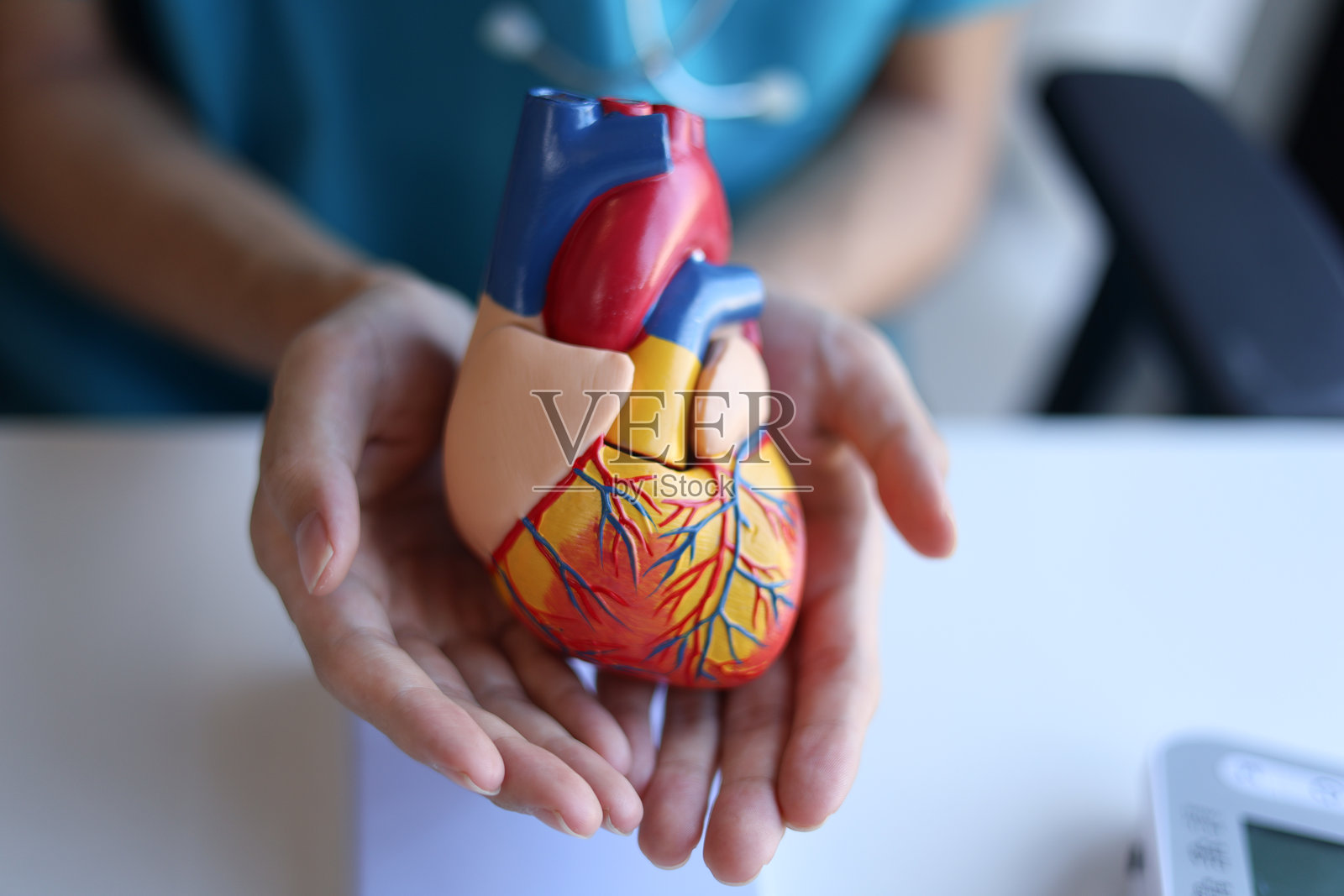 医生使用心脏模型讲解血流方向。照片摄影图片