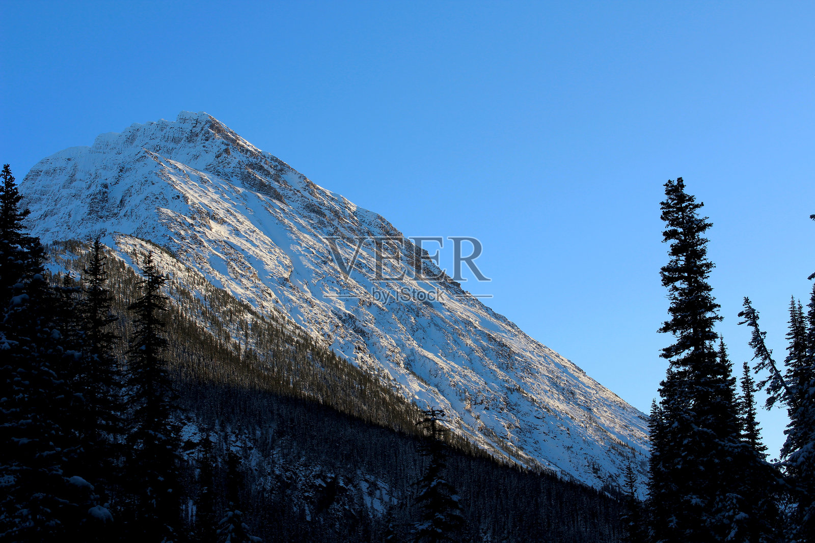 加拿大落基山脉的皑皑冬日终于来临照片摄影图片