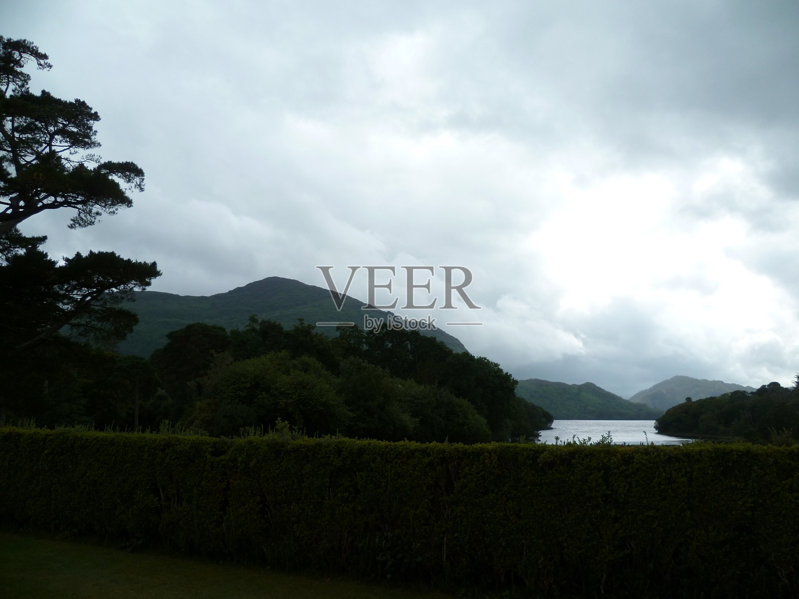 花园里的湖泊照片摄影图片