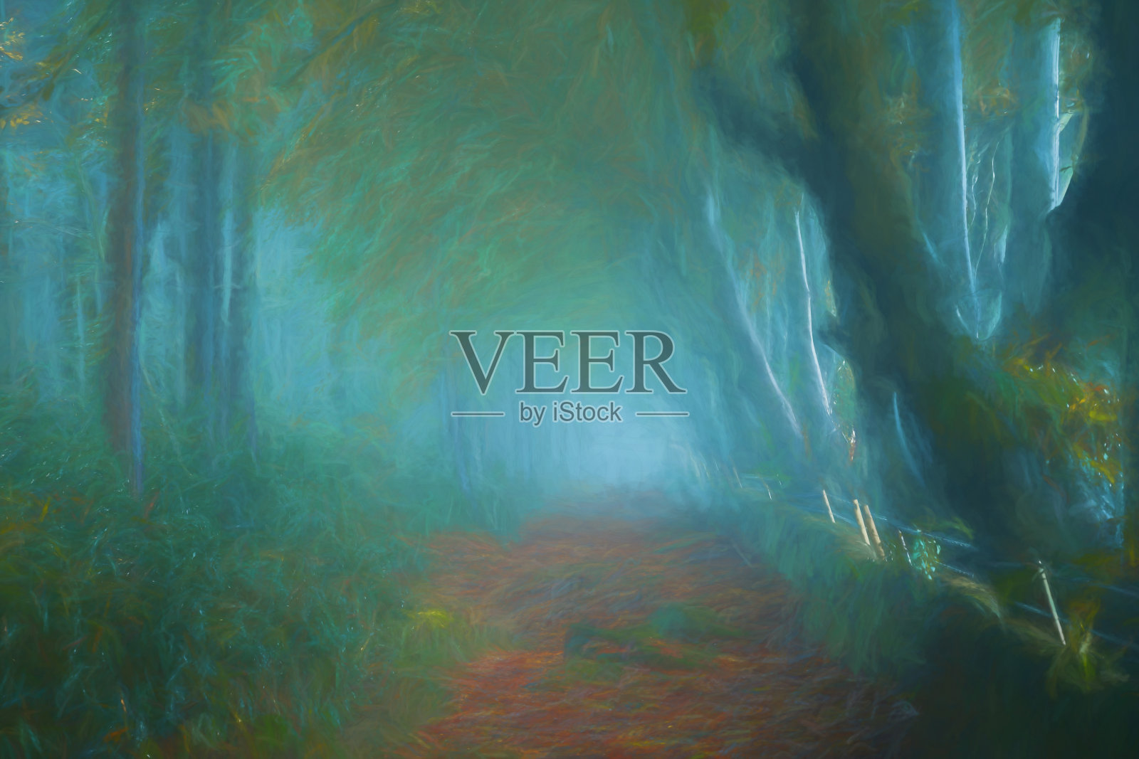 秋叶下的拱形山毛榉树和德比郡峡谷上莫尔的林间小道。照片摄影图片