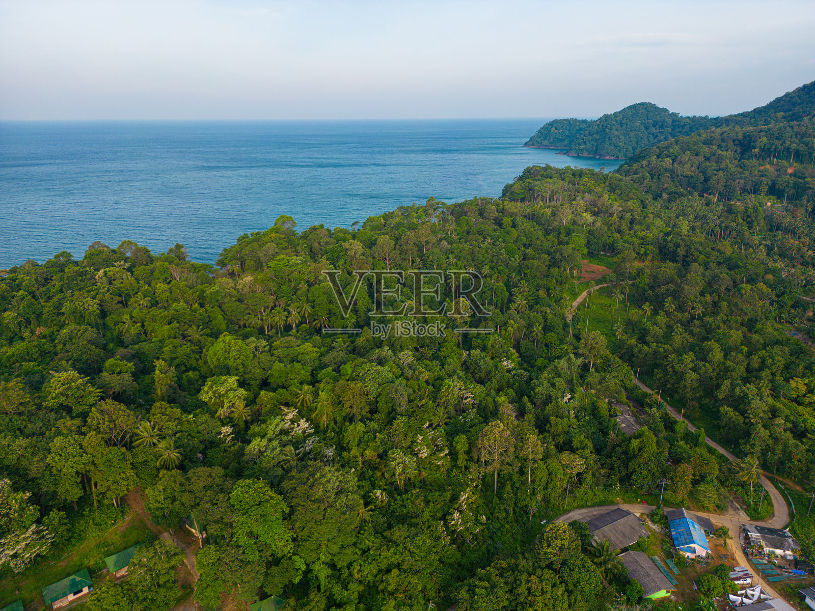 从上方俯瞰，热带棕榈树在沙滩上，碧绿的海水照片摄影图片