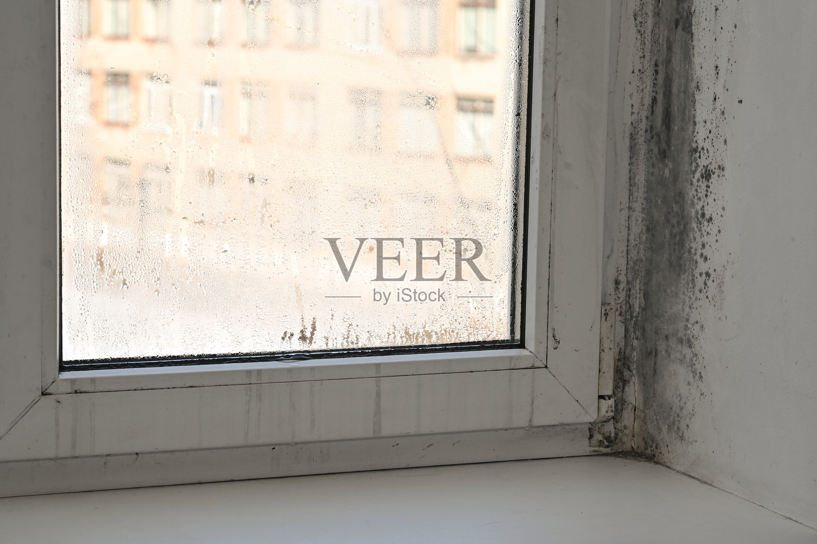 窗框显示严重的霉菌损坏。该区域通风不良。照片摄影图片