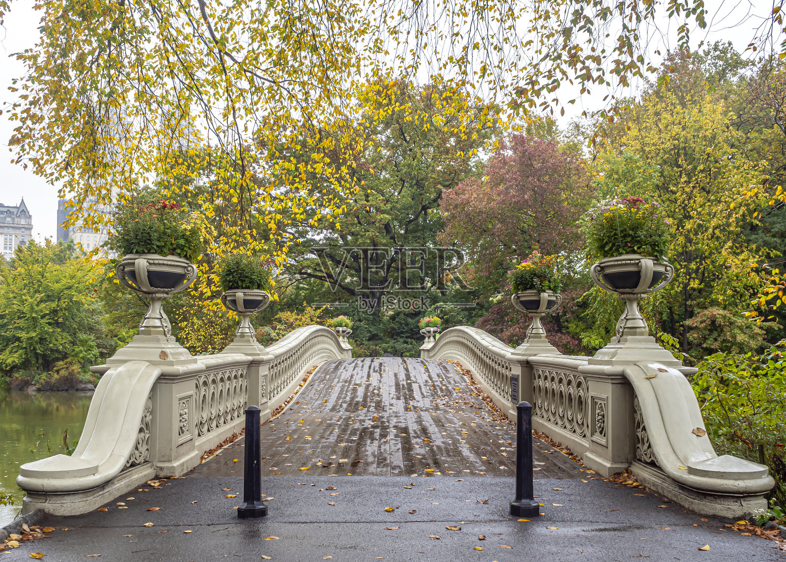秋末的弓桥照片摄影图片