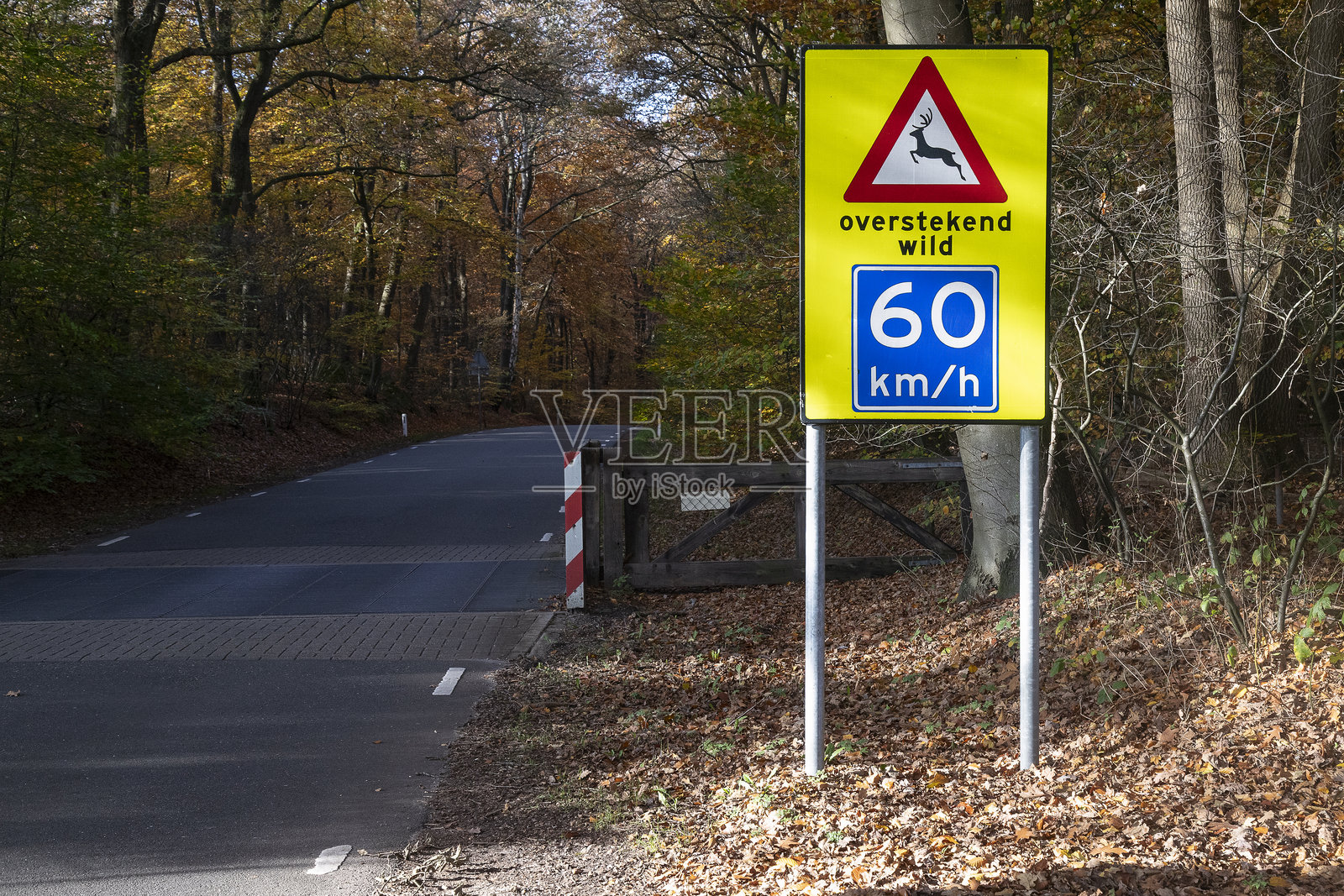 在斯普尔德附近树林里的公路旁，有野生动物过境标志、60公里/小时限速和牛栅栏。照片摄影图片