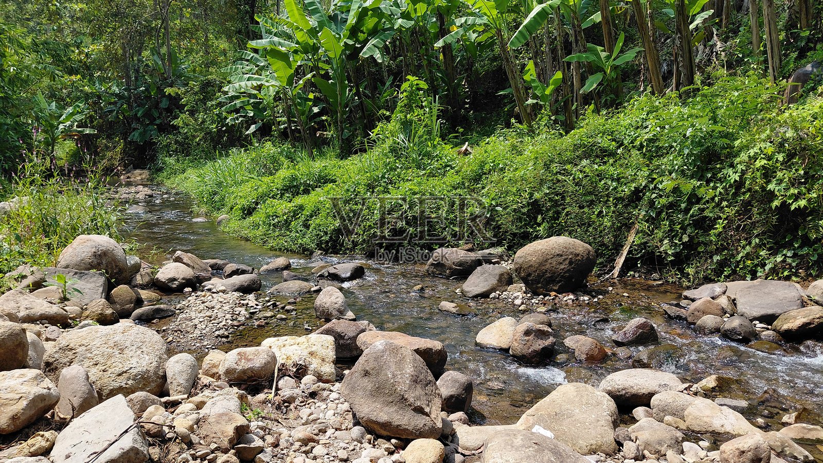 岩石溪流穿过郁郁葱葱的绿色热带雨林照片摄影图片