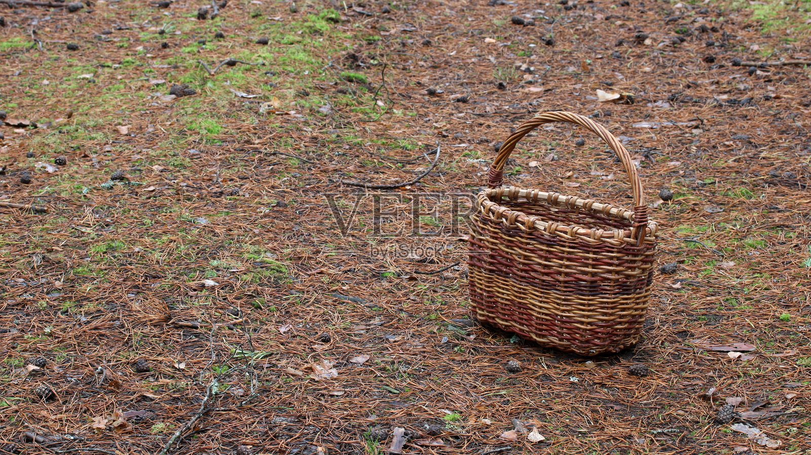 柳条编织的篮子放在森林的地面上，周围散落着松针照片摄影图片
