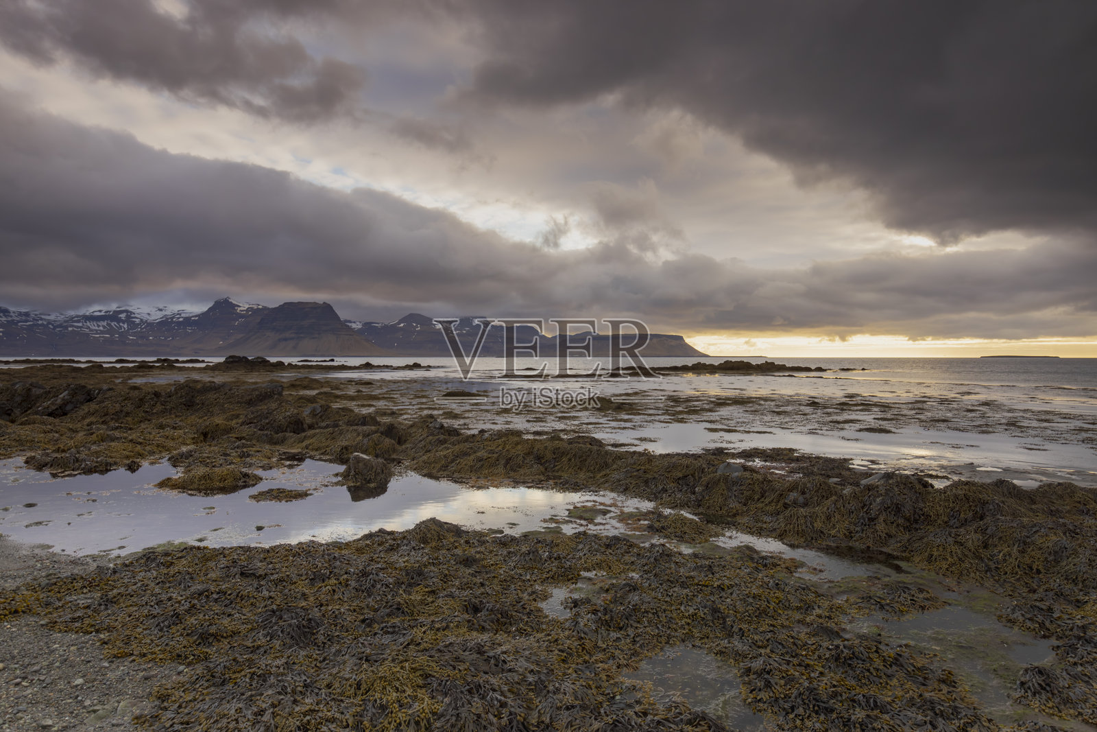 冰岛斯奈山半岛北部海岸的戏剧性海岸风光，远眺教会山照片摄影图片