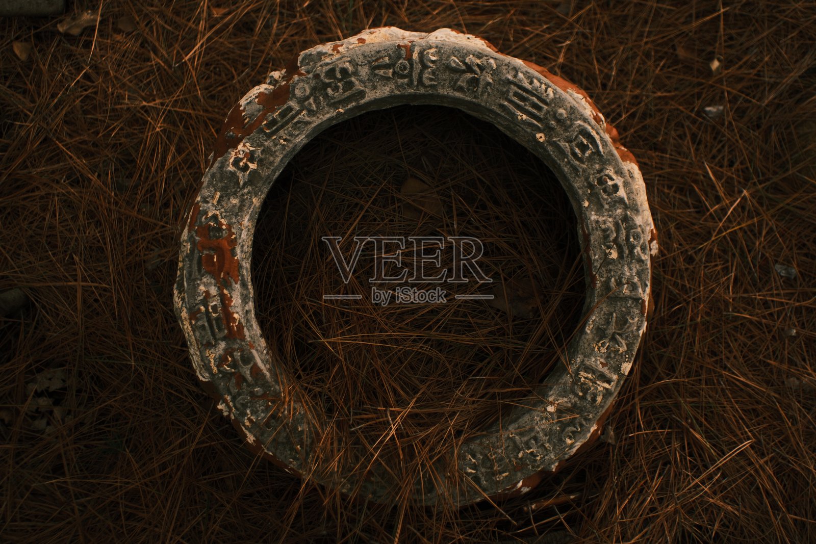 森林地面上风化陶罐纹理的特写照片摄影图片