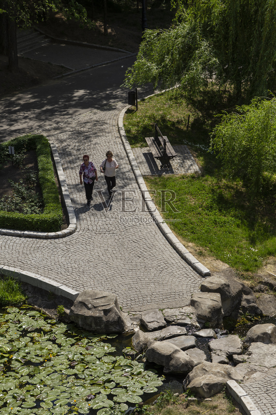 罗马尼亚克拉约瓦罗曼内斯库公园的图像。照片摄影图片