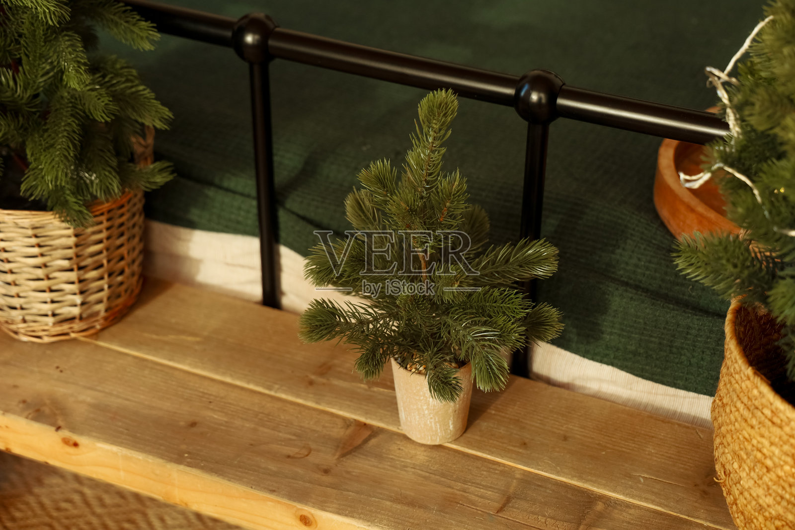 冬季，舒适客厅的木架上摆放着一盆迷你的常绿植物照片摄影图片