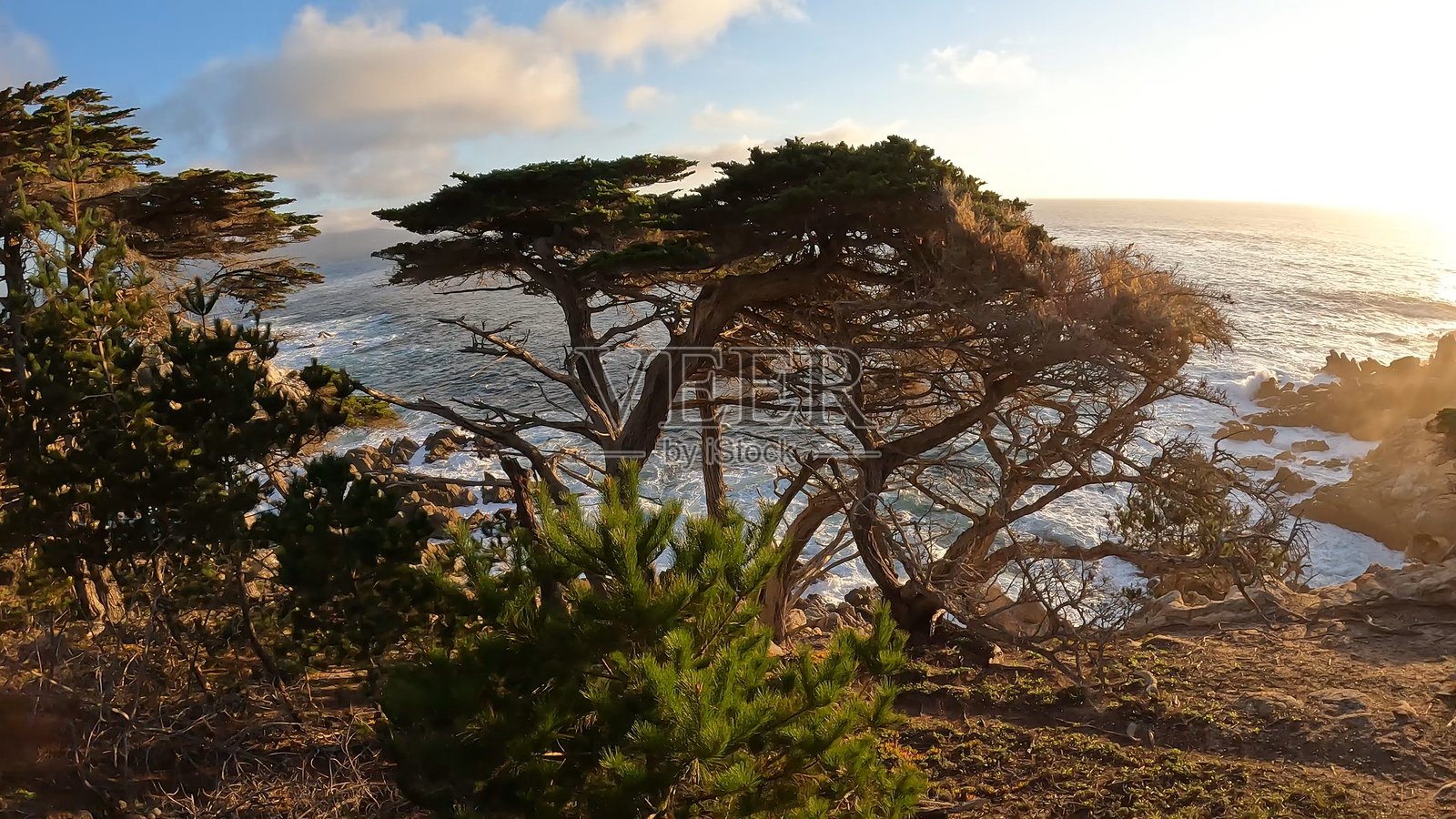 圆石滩全景照片摄影图片